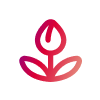 Eine einfache, rote Strichzeichnung einer Tulpe mit zwei Blättern auf hellgrauem Hintergrund, die einen Farbverlauf aufweist.