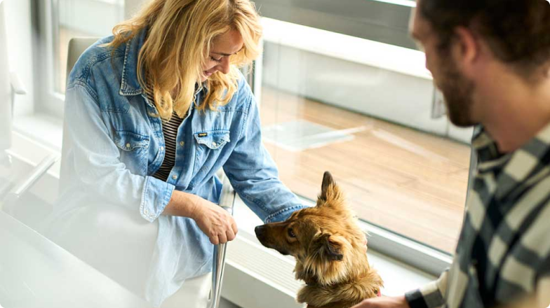 Eine Frau und ein Mann sitzen gemeinsam in einem Meeting und beugen sich zu einem Hund hinunter.