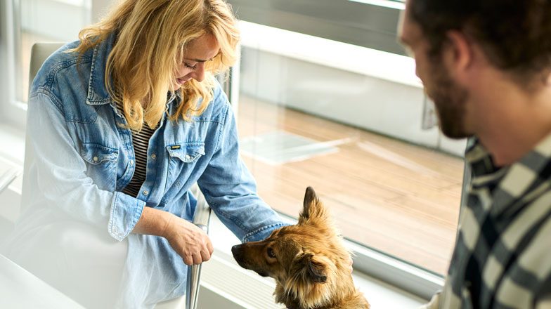 Eine Frau und ein Mann sitzen gemeinsam in einem Meeting und beugen sich zu einem Hund hinunter.